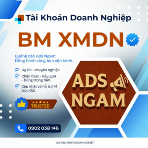 Bm XMDN