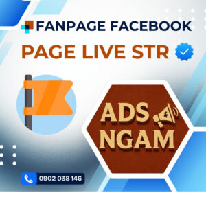 Page live stream